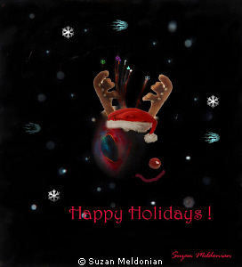 Have a very Blenny Christmas & a Happy New Year by Suzan Meldonian 